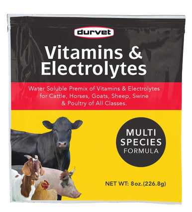 #620 VITAMIN & ELECTROLYTES - 8 OZ