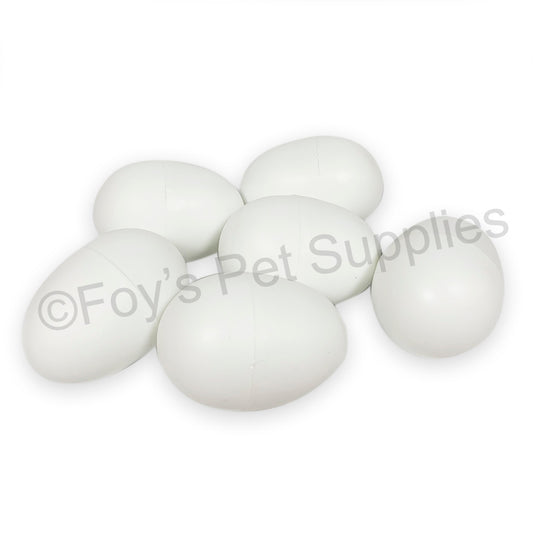 Chicken Eggs - Plastic (6 Pack)