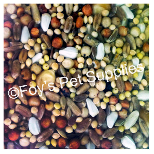 Ring Neck Dove Feed - 10 lbs.