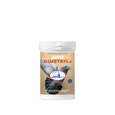 #2510 DIMETRYL+  50 GR.