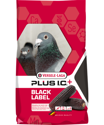 #1765 VL BLACK LABEL CHAMPION, 40lbs