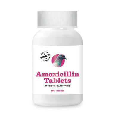 #2551 AMOXICILLIN TABLETS 100