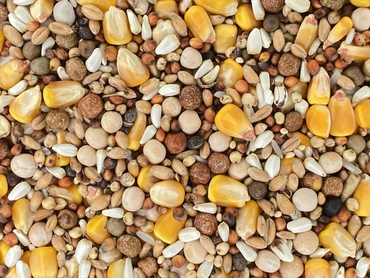 #1770 VL CLASSIC 15% with CORN, 10lb