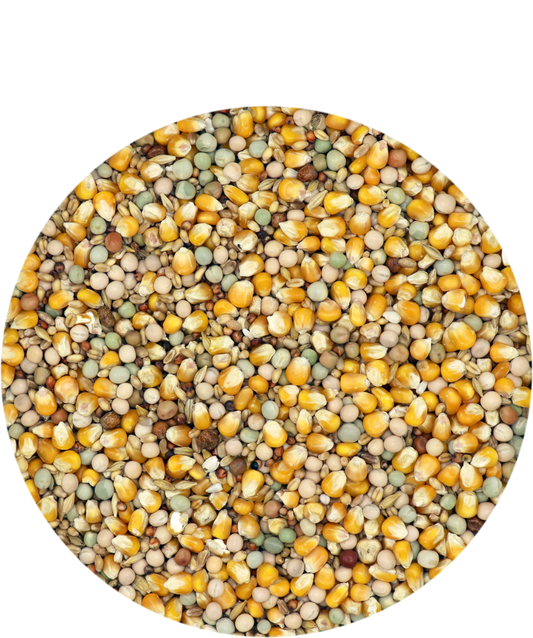 #1768 VL CLASSIC 4 SEASON, 10lb